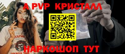 крисы Гусев