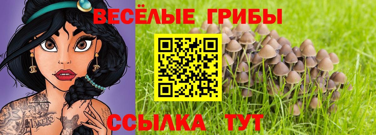 Псилоцибиновые грибы ЛСД Новочеркасск